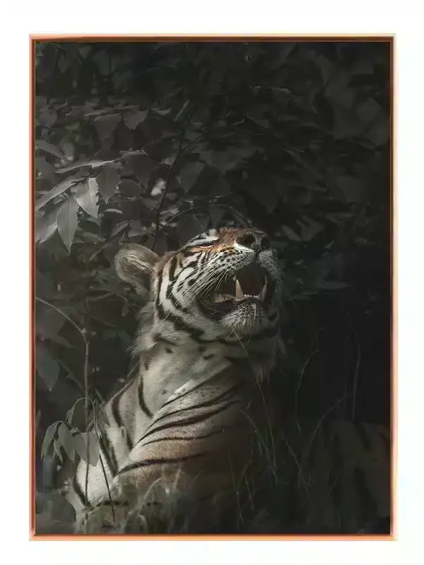 Tiger In Shadows Plakat