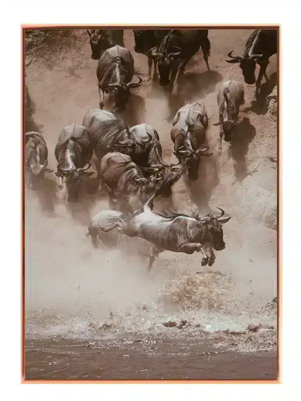 Wildebeest Crossing Plakat
