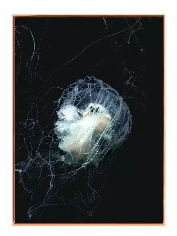 Jellyfish Luminescent Plakat