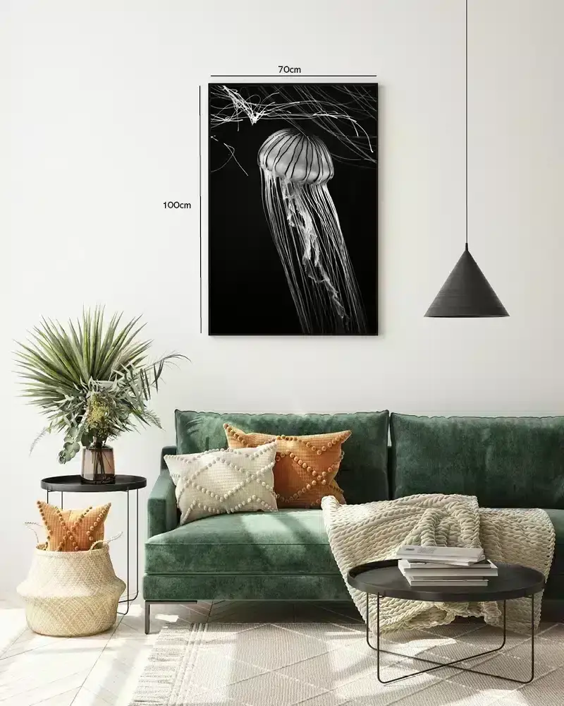 Jellyfish Black Background Plakat