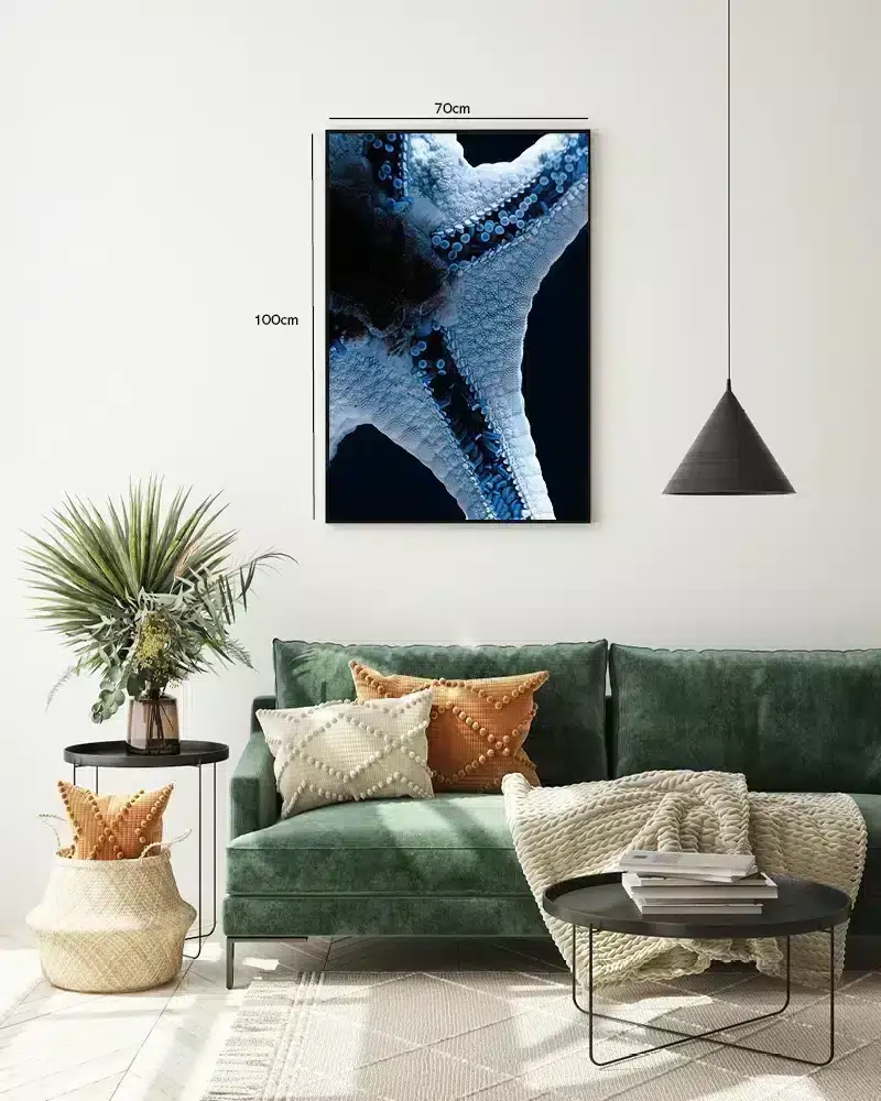 Starfish Plakat