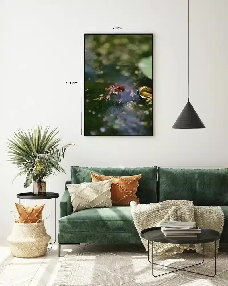 Common Frog Plakat