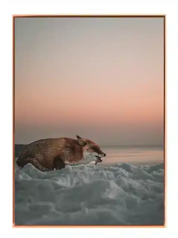 Red Fox Sunset Plakat