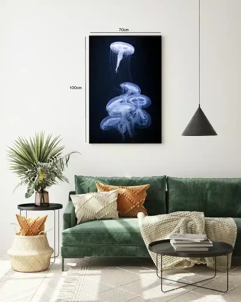 Moon Jellyfish Plakat