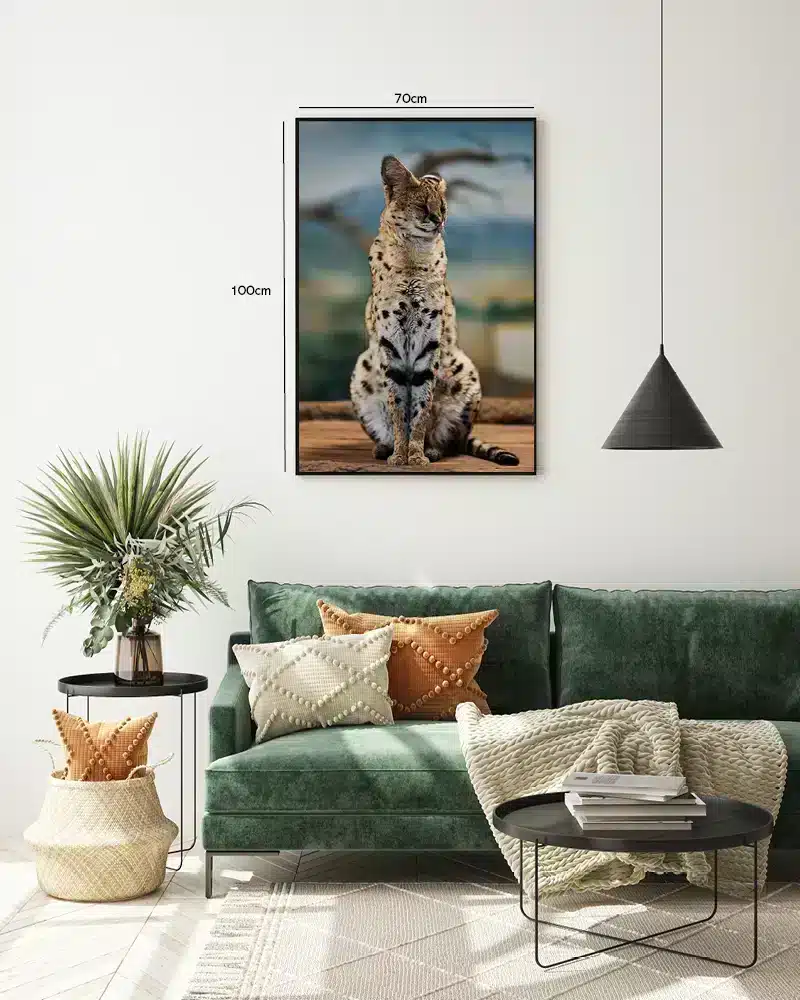 Serval Cat Plakat