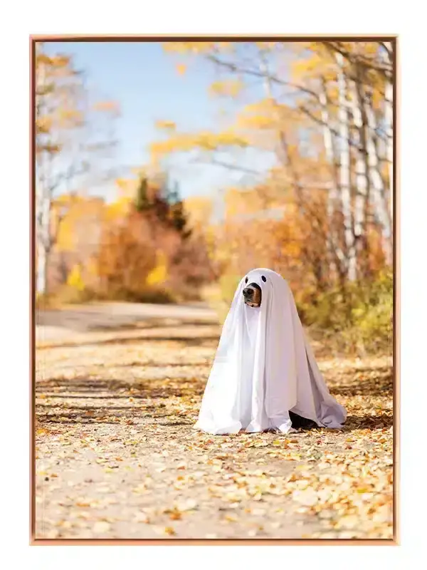 Dog In Ghost Costume Plakat