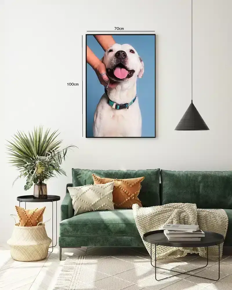 Happy Labrador Plakat