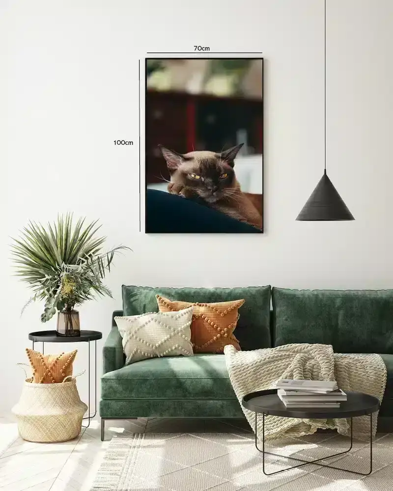 Burmese Cat Plakat