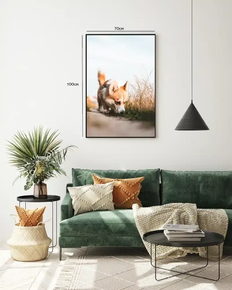 Corgi Dog Plakat