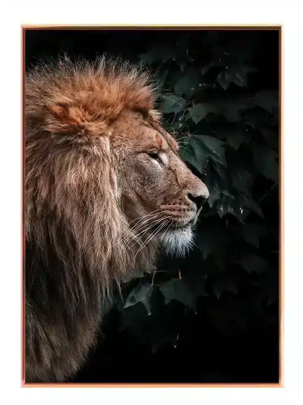 Lion Profile I Plakat