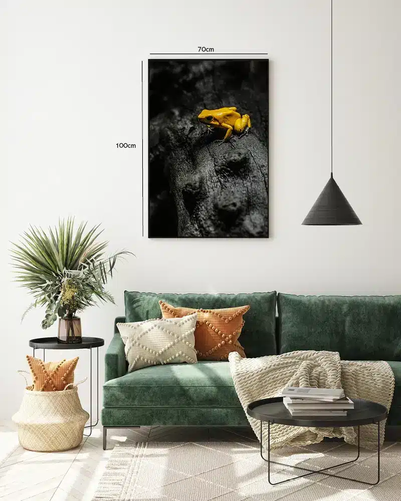 Golden Poison Frog Plakat