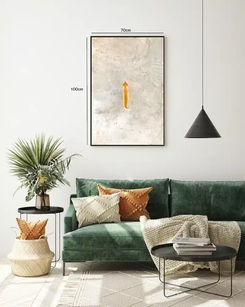 Ginger Cat Above Plakat