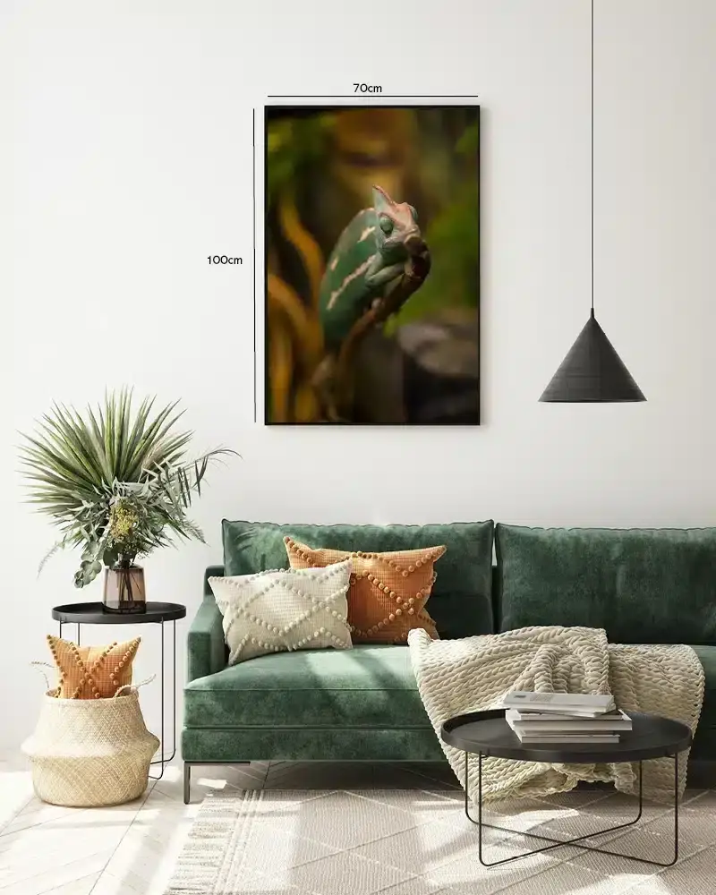 Bi Veiled Plakat