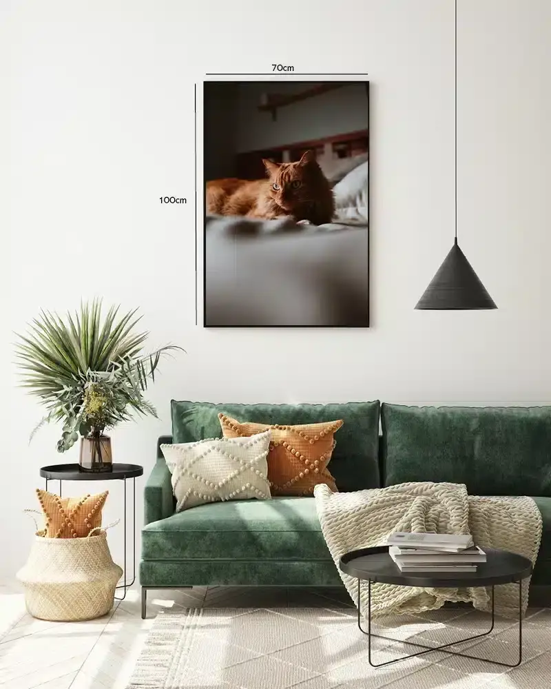 Ginger Cat Indoor Plakat