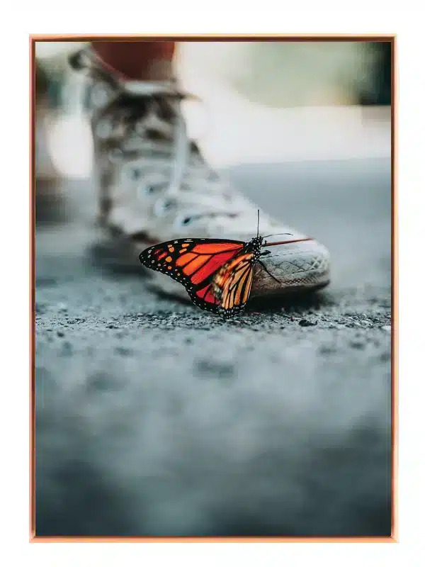 Monarch Butterfly Close Up Plakat