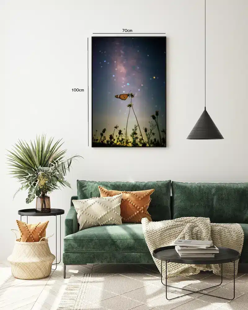 Monarch Butterfly Night Plakat