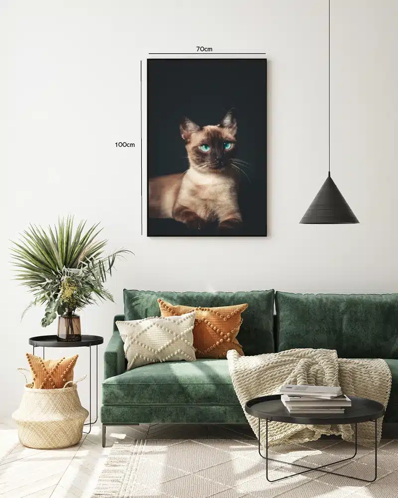 Siamese Cat No2 Plakat