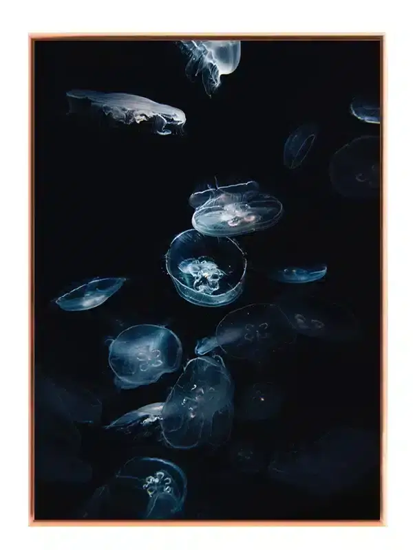 Moon Jellyfish Glow Plakat