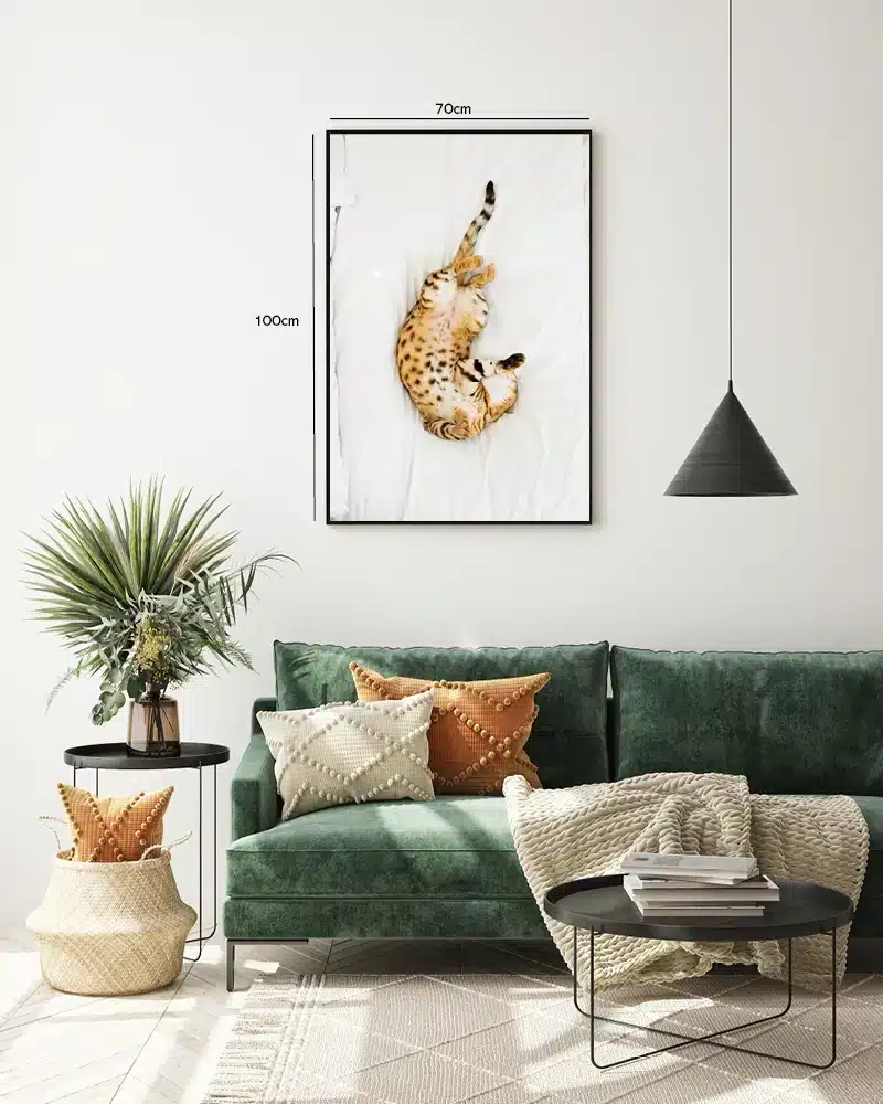 Bengal Cat Plakat