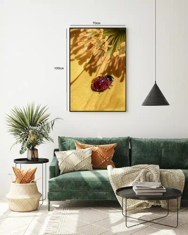 Insekt Ladybug On Flower Plakat