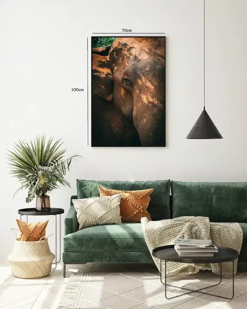 Elephant Closeup Plakat