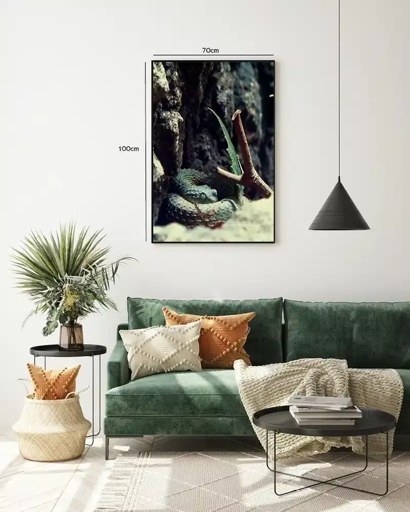 Slange Green Viper Plakat