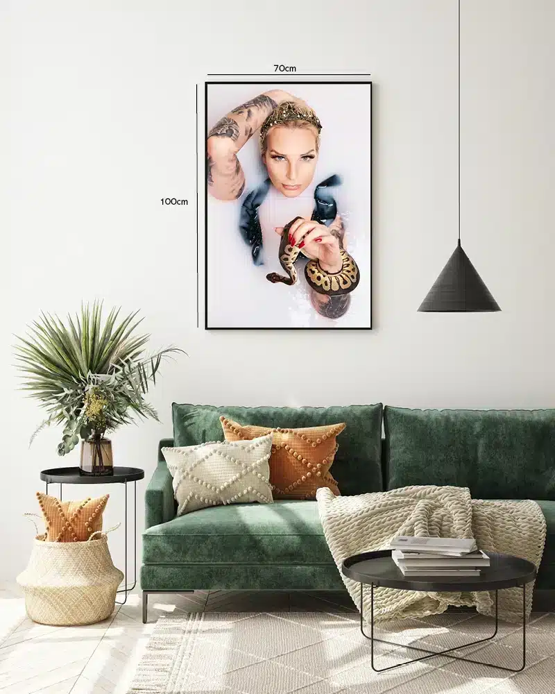 Slange Ball Plakat