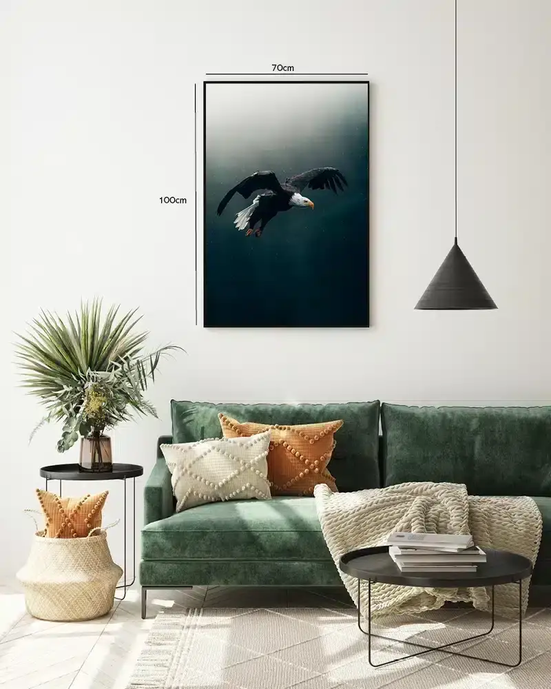 Bald Eagle Flight Plakat