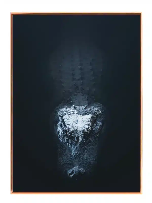 Crocodile Head No2 Plakat