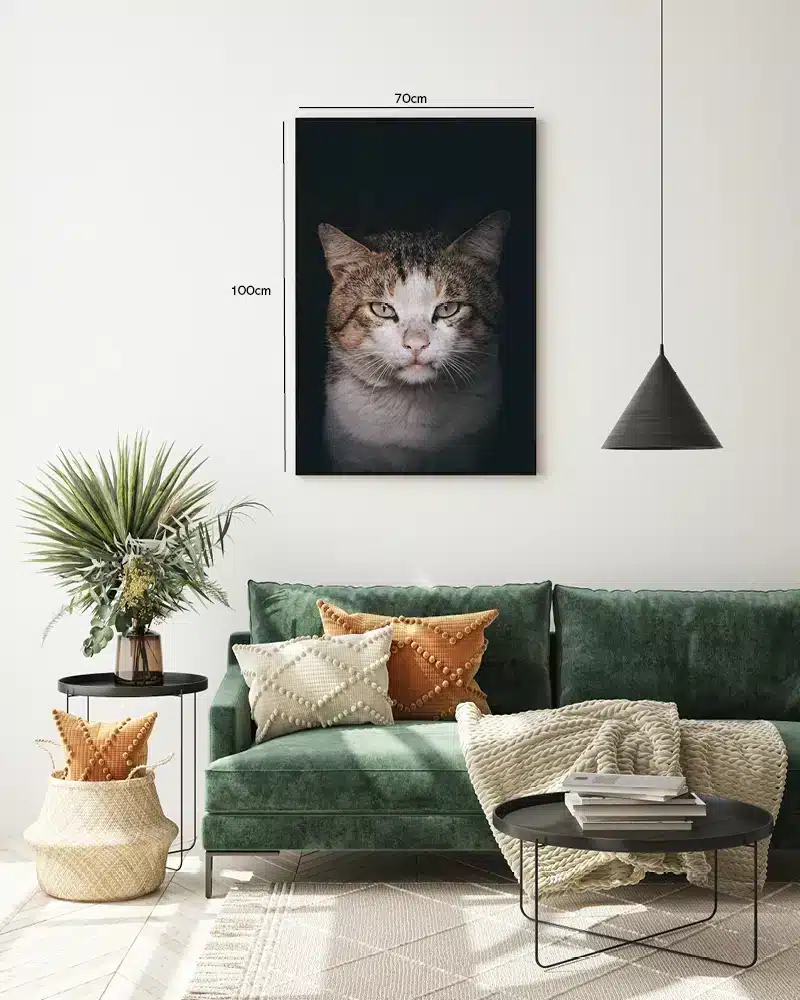 Tabby Cat I Plakat