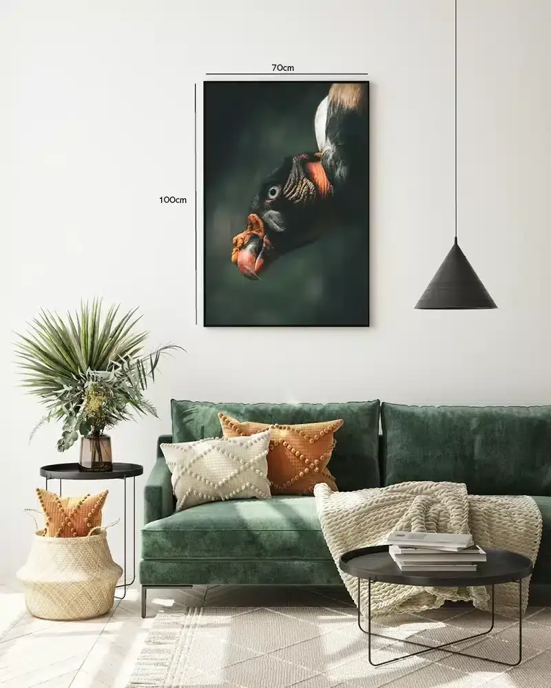 Ugle King Vulture Plakat