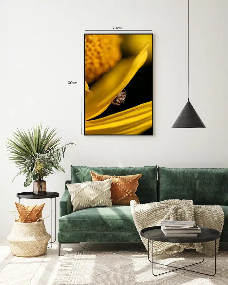 Ko Jumping Plakat