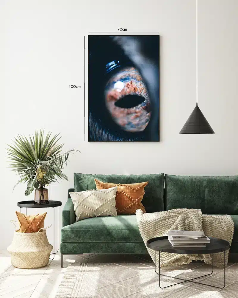 Horse Eye Plakat