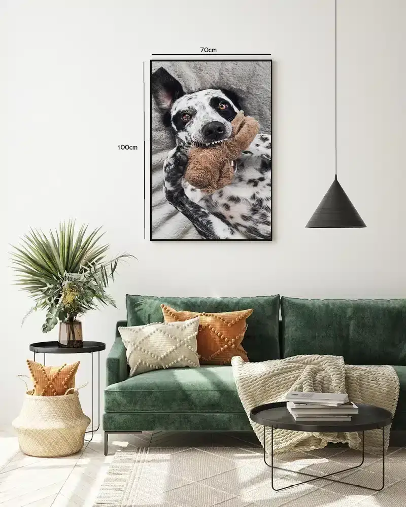 Dalmatian Dog Plakat