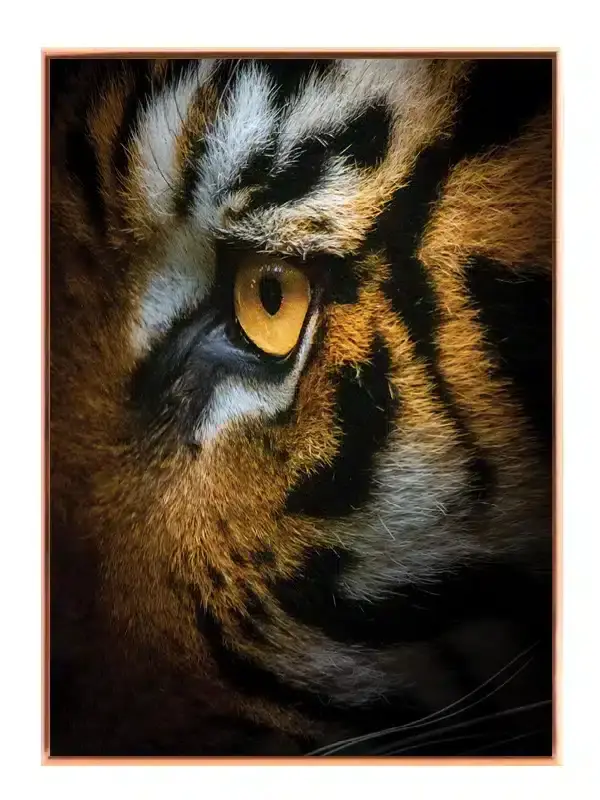 Tiger Eye Plakat