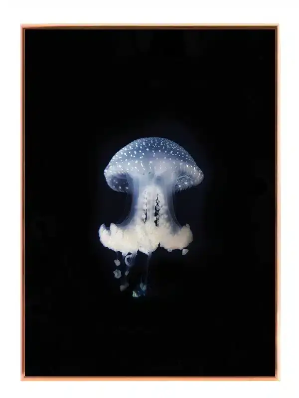 Spotted Jellyfish Plakat
