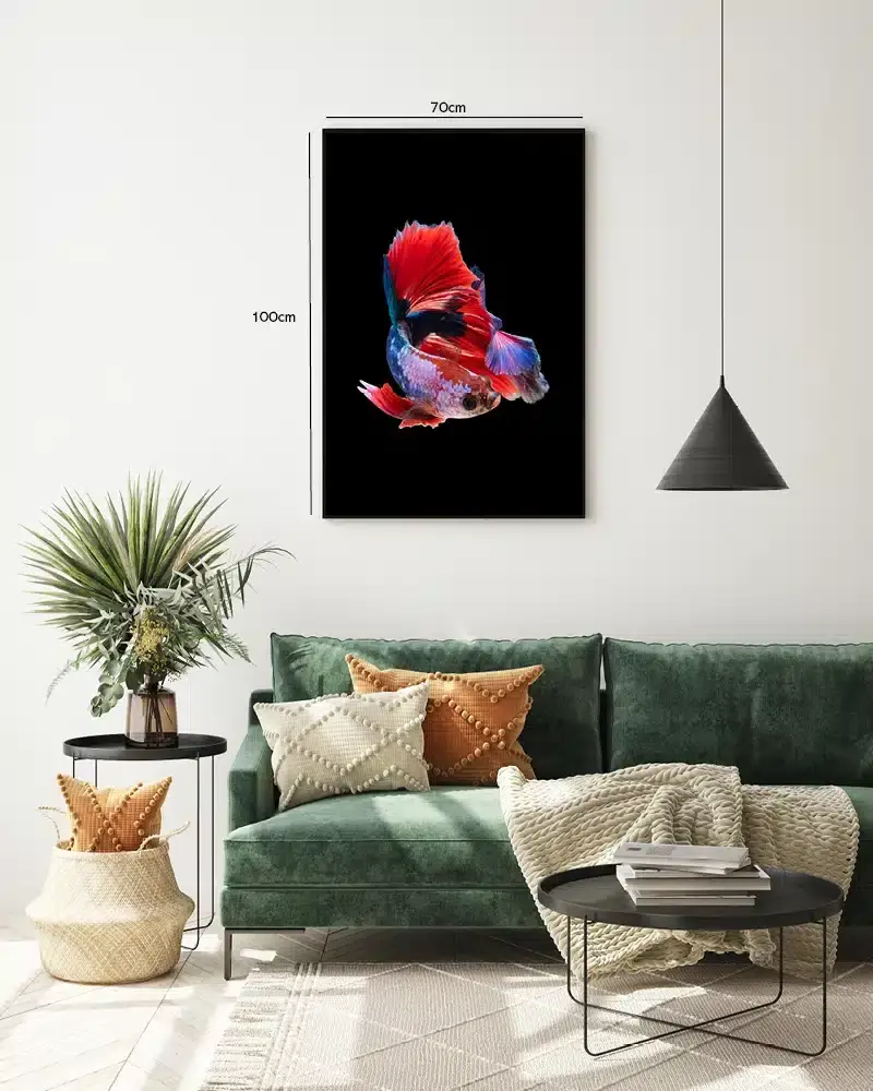 Betta Fish Plakat