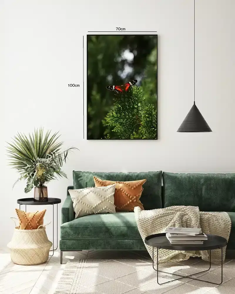 Red Admiral Butterfly Plakat