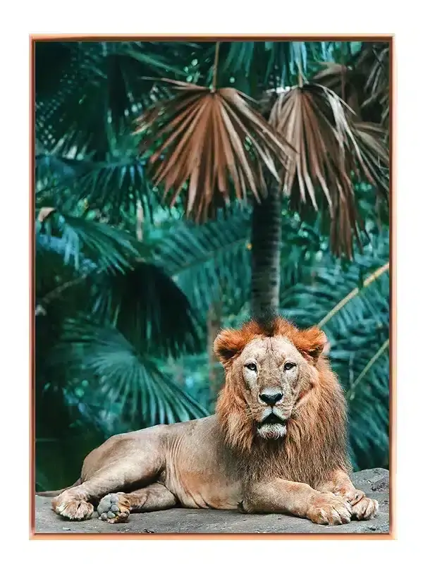 Lion In Jungle Plakat