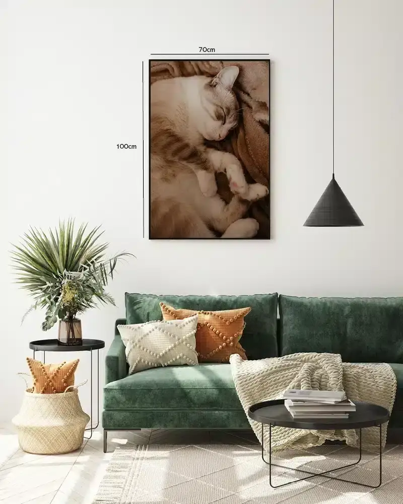 Sleeping Cat Plakat