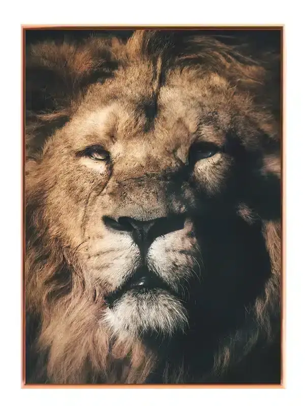 Lion Face III Plakat
