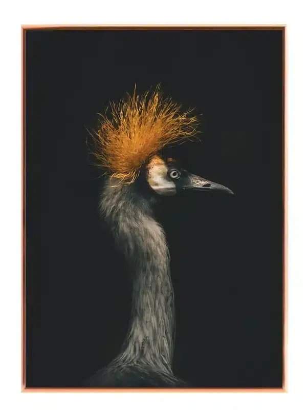 Fugl Crowned Plakat