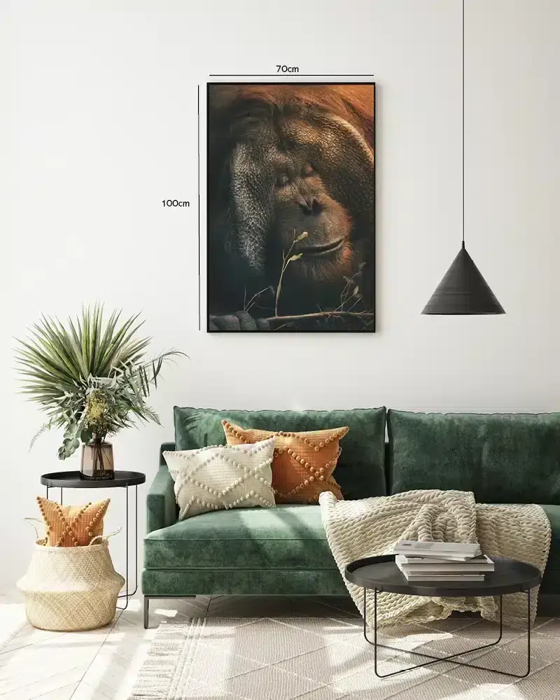 Orangutan Face Plakat