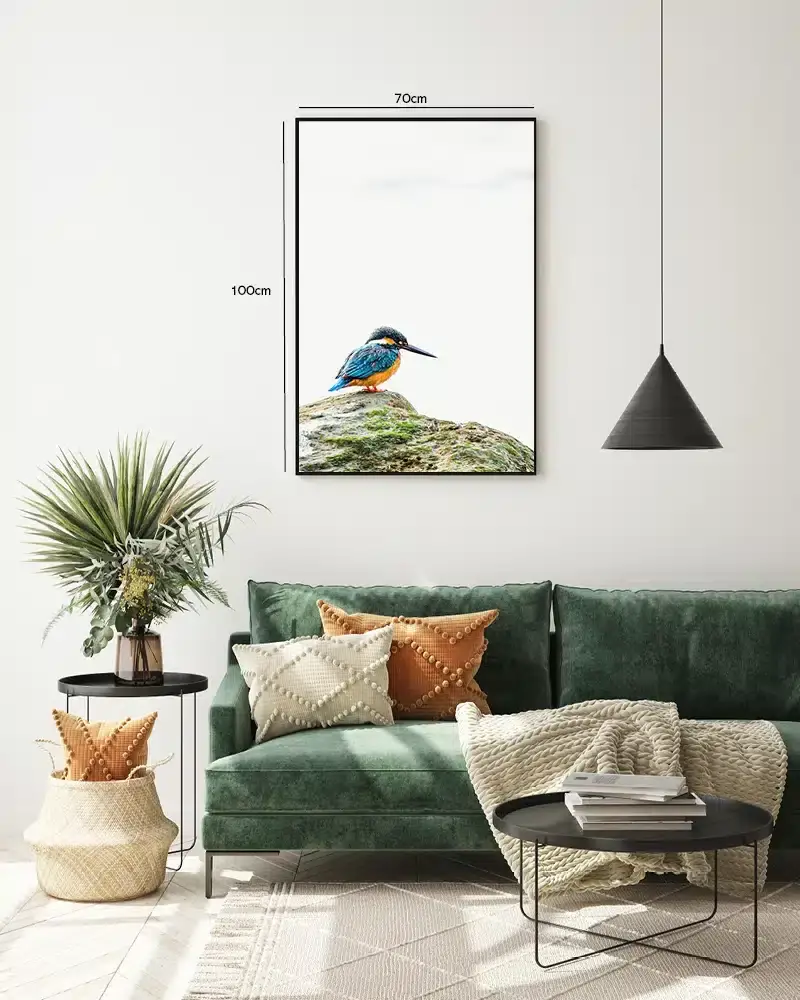 Kingfisher Bird Plakat