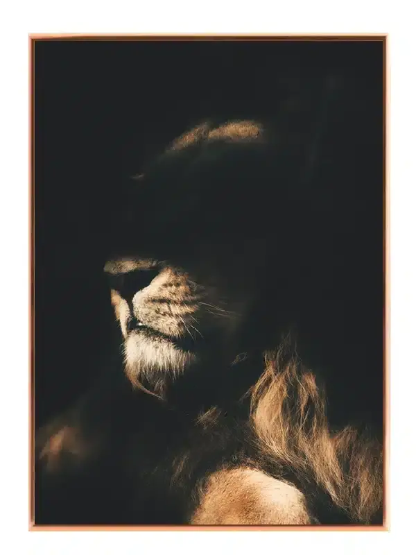 Lion In Plakat