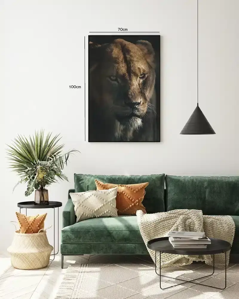 Lioness Closeup Plakat
