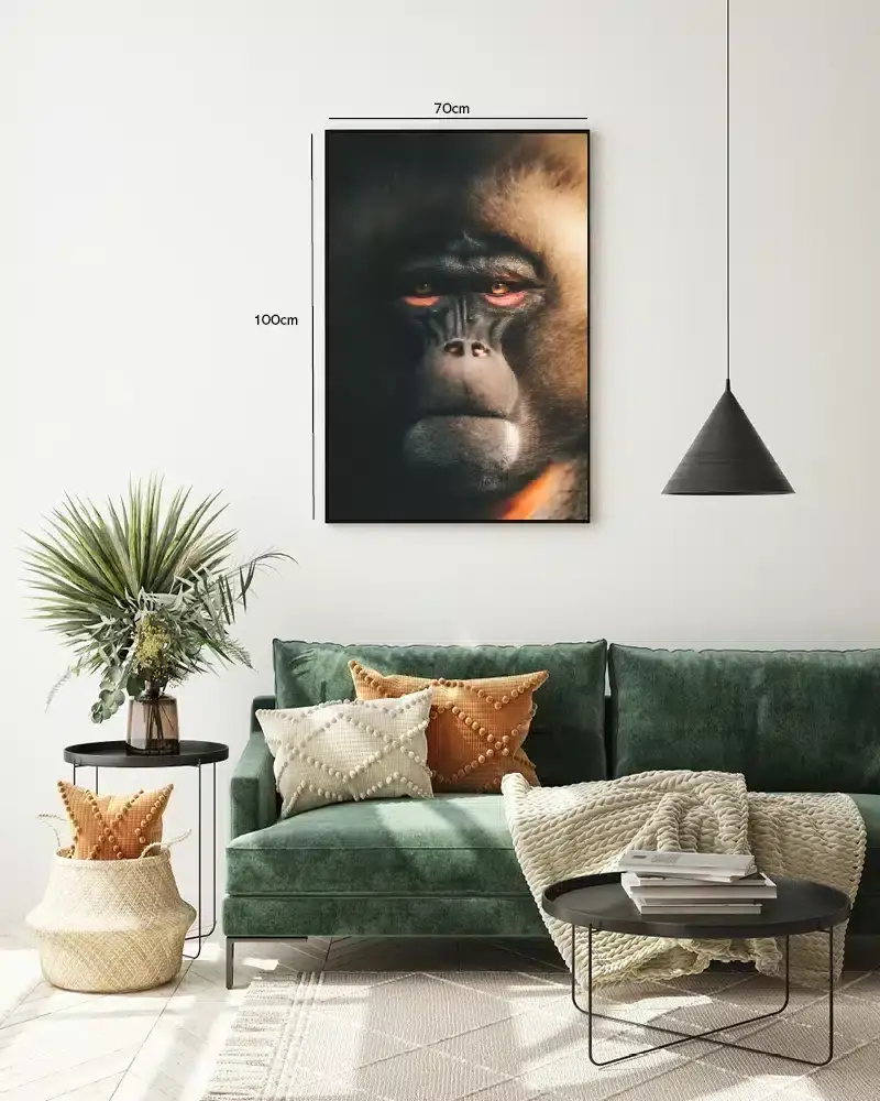 Bi Baboon Plakat