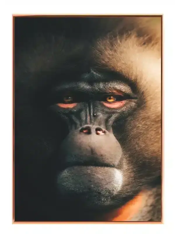 Bi Baboon Plakat
