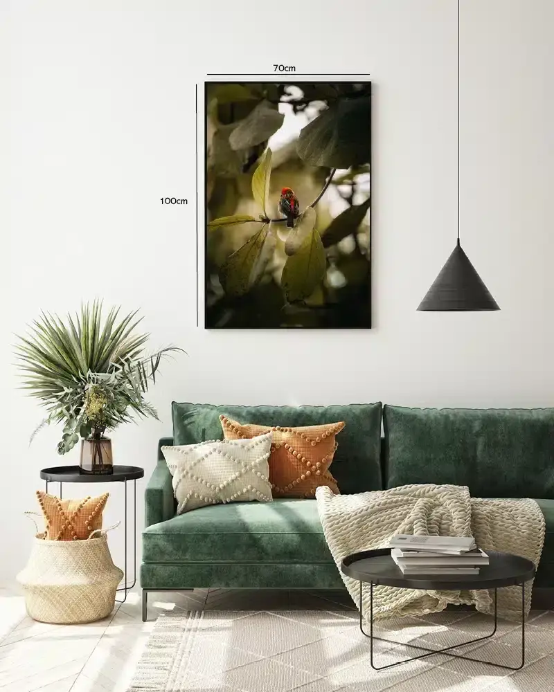 Red Bird Plakat