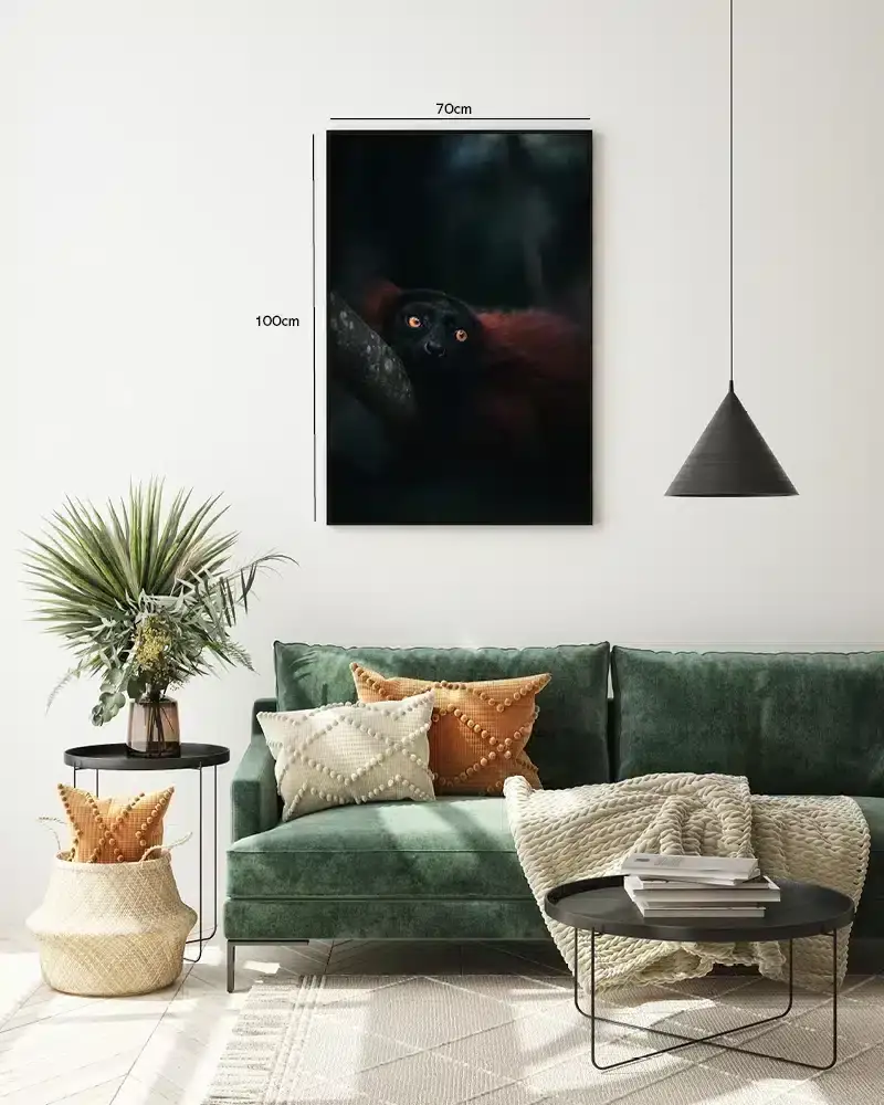 Black Lemur Plakat
